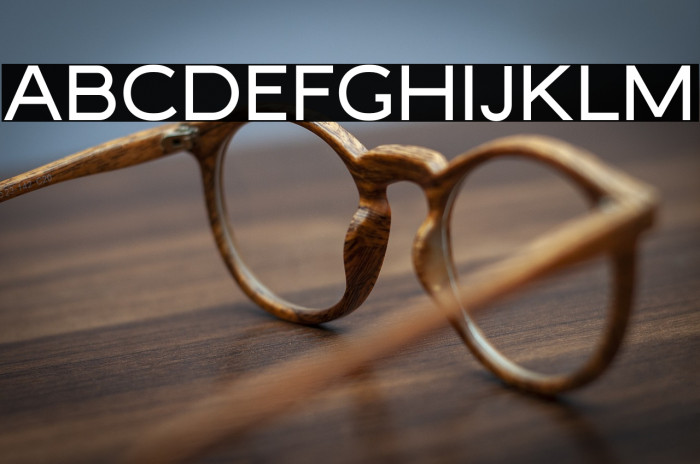 MalibuSunset-Sans Free Example 3