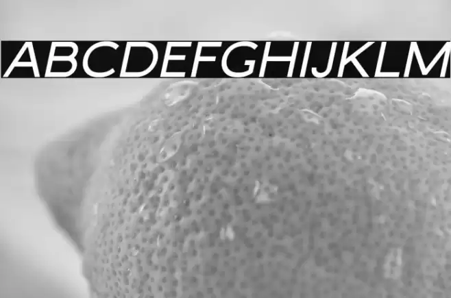 MalibuSunsetFree-SansItalic Font examples