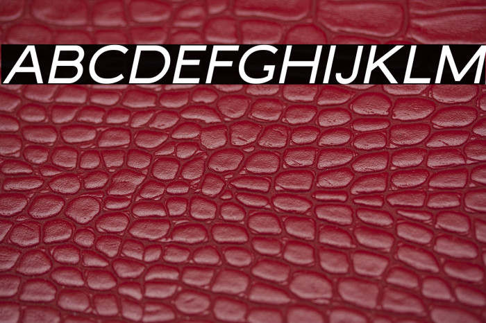 MalibuSunsetFree-SansItalic Example 2