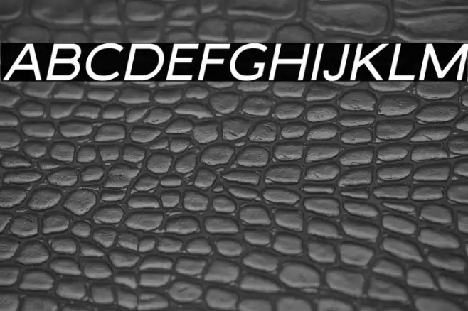 MalibuSunsetFree-SansItalic Font examples