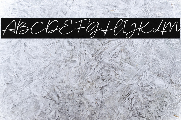 MalibuSunsetFree-Script Example 1