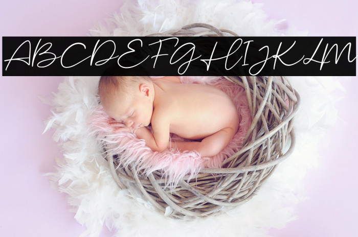 MalibuSunsetFree-Script Example 2