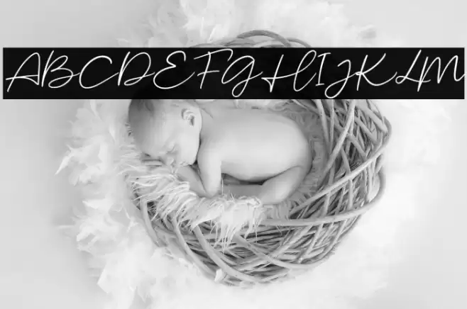 MalibuSunsetFree-Script Font examples