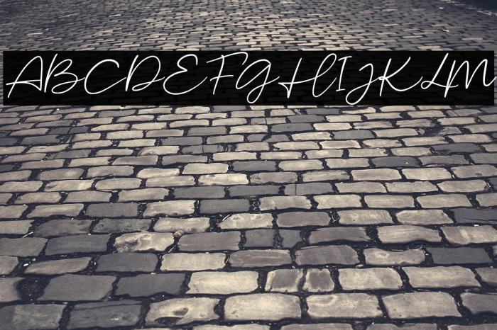 MalibuSunsetFree-Script Example 3