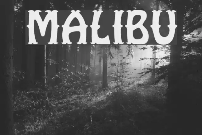 Malibu Font examples