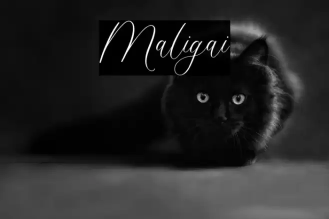 Maligai Font examples