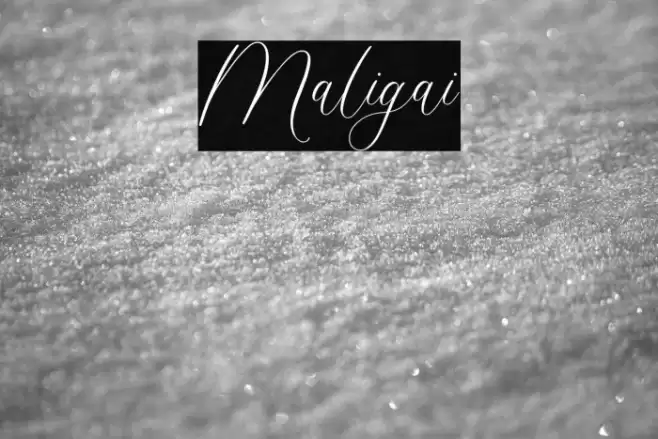 Maligai Font examples