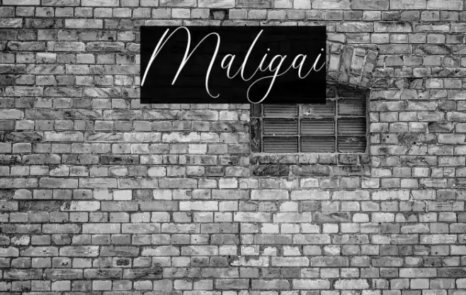 Maligai Font examples