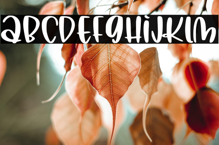 Malihah Bouncy Example 1