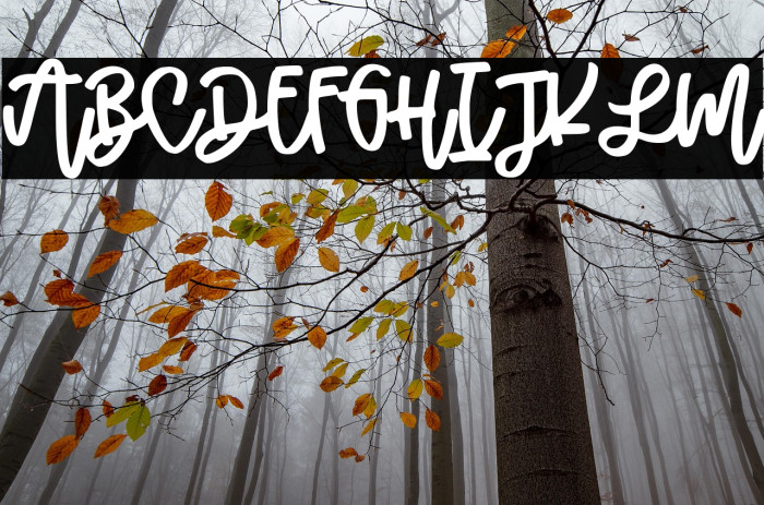 Malihah Script Example 1