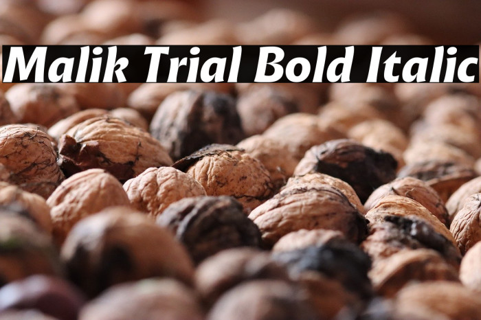 Malik Trial Bold Italic Example 1