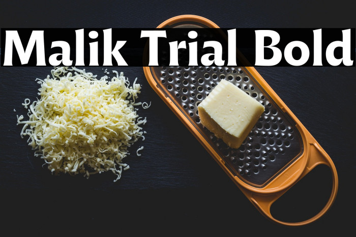 Malik Trial Bold Example 1