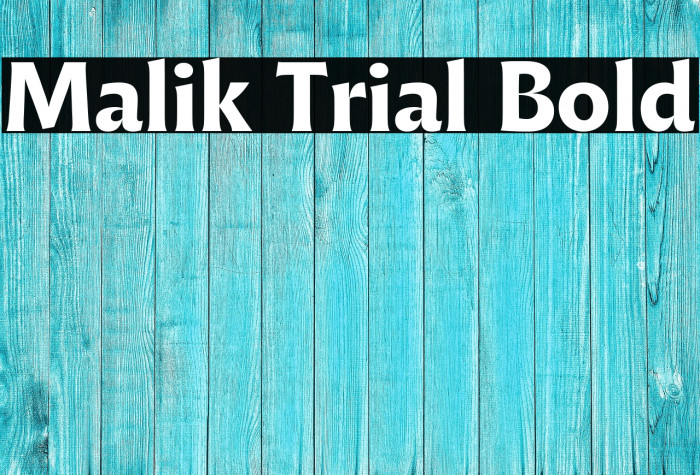 Malik Trial Bold Example 2