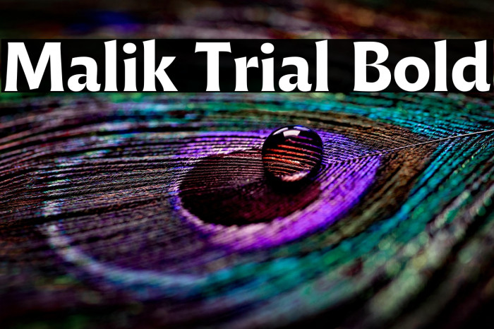 Malik Trial Bold Example 3