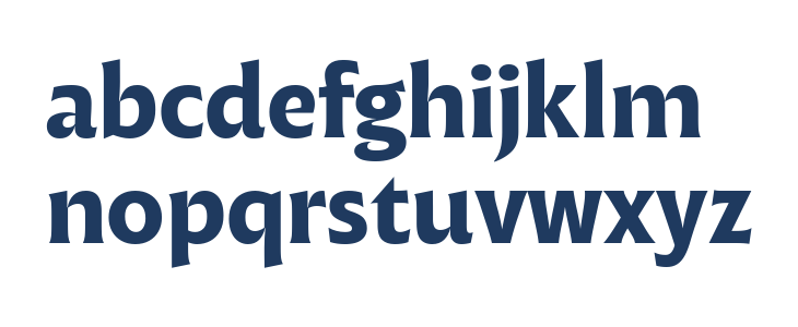 Malik Trial Bold Lowercase