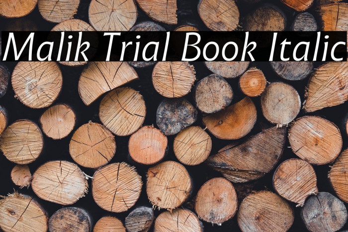 Malik Trial Book Italic Example 1