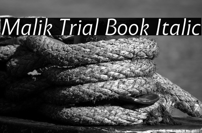 Malik Trial Book Italic Example 2