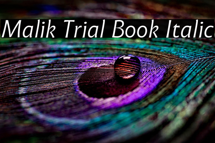 Malik Trial Book Italic Example 3