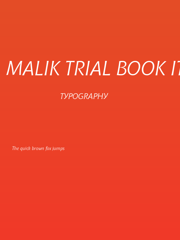 Malik Trial Book Italic Poster