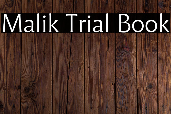 Malik Trial Book Example 1
