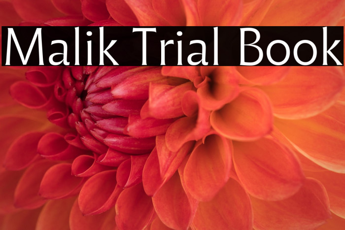 Malik Trial Book Example 2