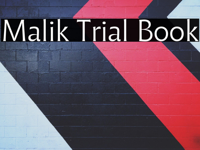 Malik Trial Book Example 3