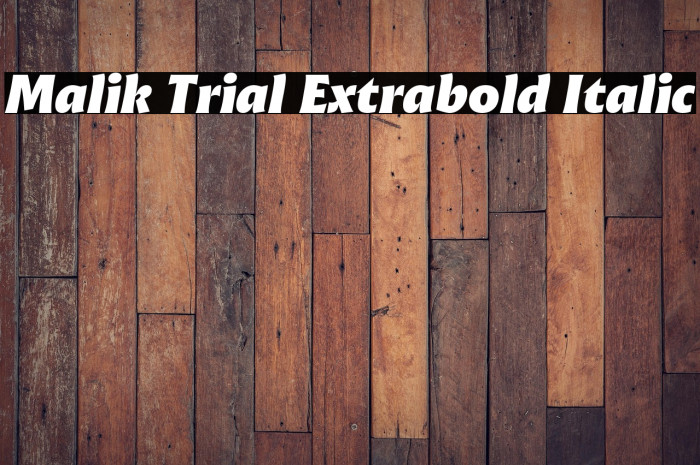 Malik Trial Extrabold Italic Example 1