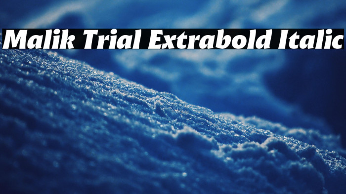 Malik Trial Extrabold Italic Example 2