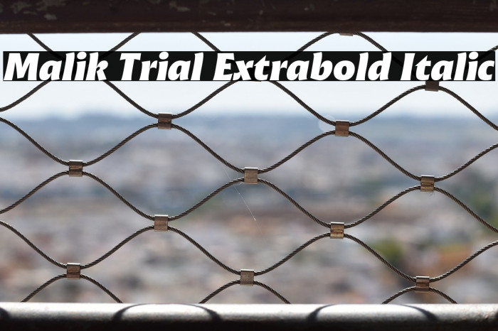 Malik Trial Extrabold Italic Example 3