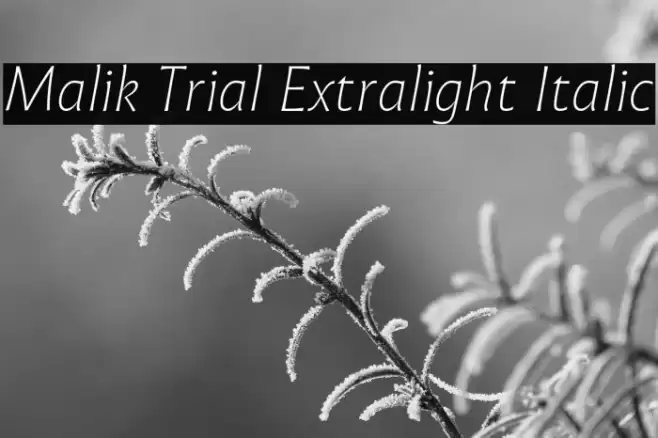 Malik Trial Extralight Italic Font examples