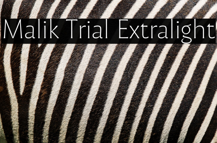 Malik Trial Extralight Example 1