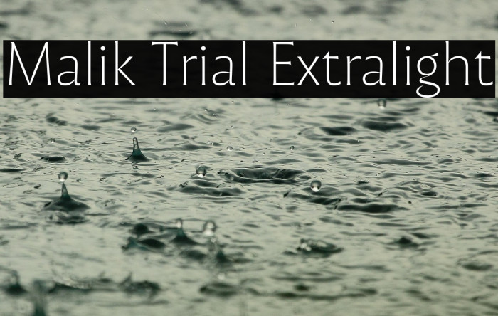 Malik Trial Extralight Example 3