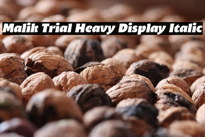Malik Trial Heavy Display Italic Example 1