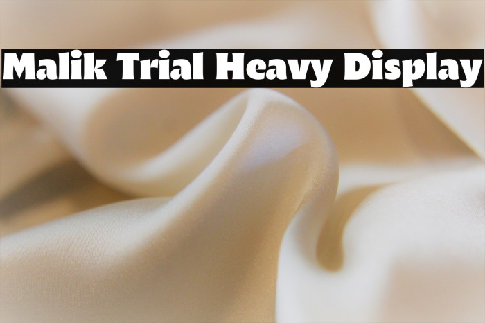 Malik Trial Heavy Display Example 1