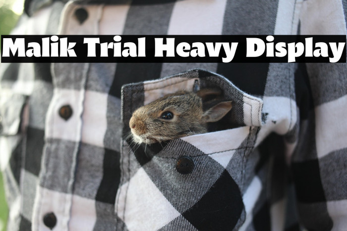 Malik Trial Heavy Display Example 3