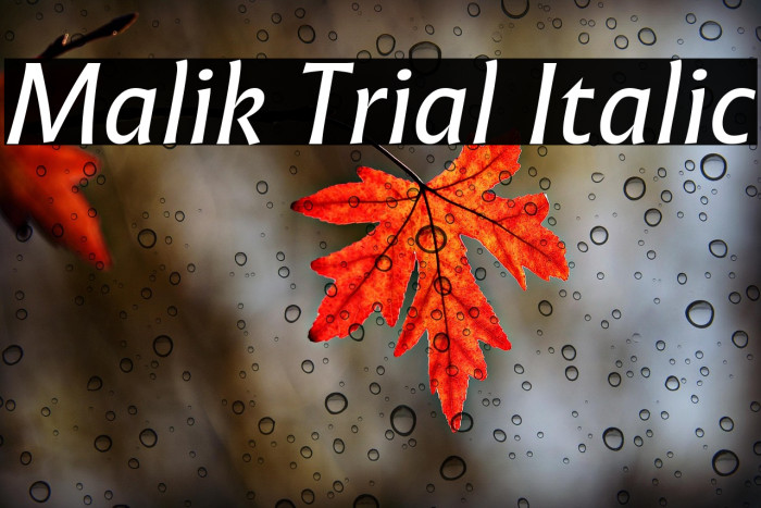 Malik Trial Italic Example 1