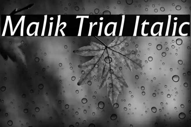 Malik Trial Italic Font examples