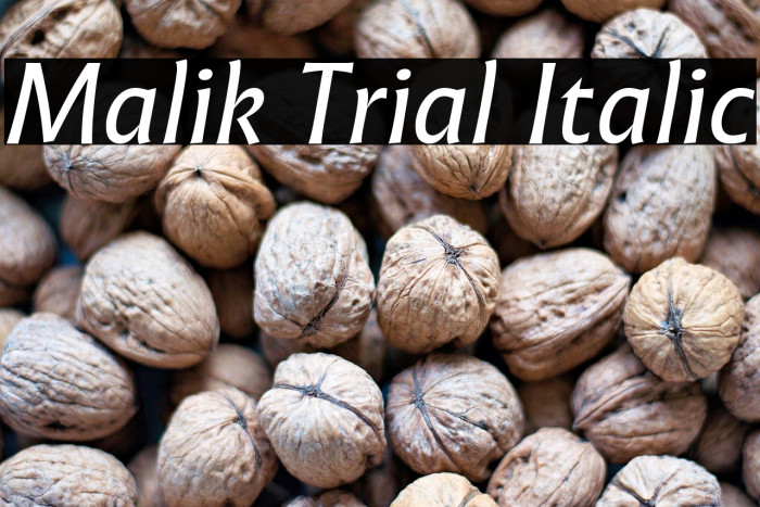 Malik Trial Italic Example 2