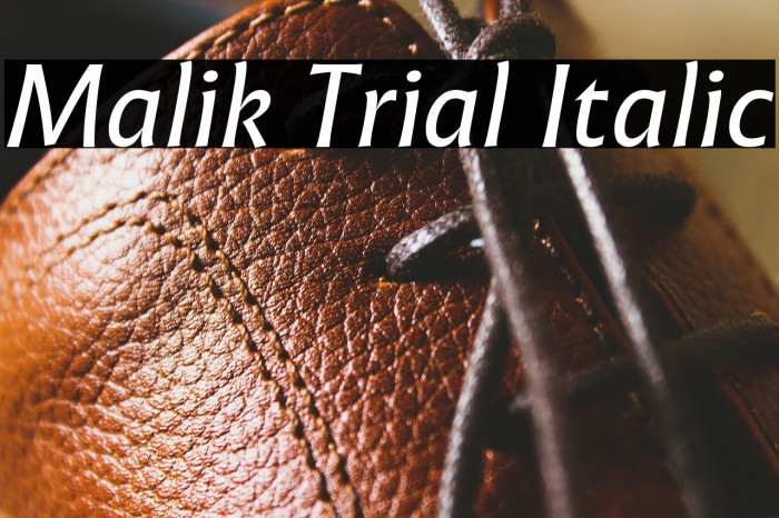 Malik Trial Italic Example 3