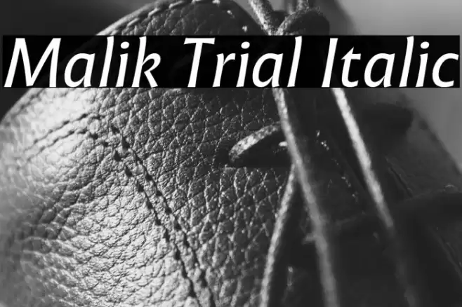 Malik Trial Italic Font examples