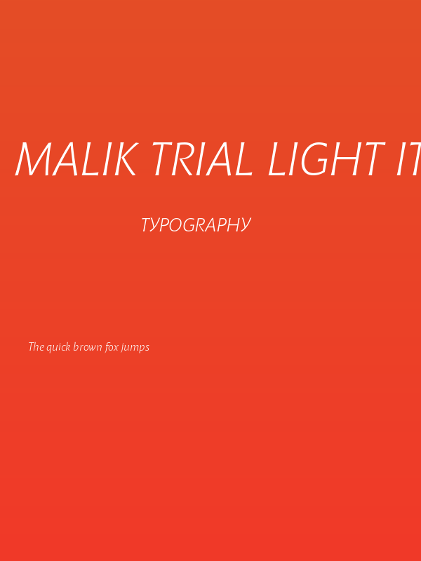 Malik Trial Light Italic Poster