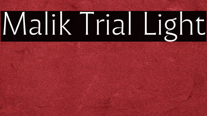 Malik Trial Light Example 1