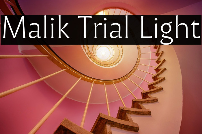 Malik Trial Light Example 2