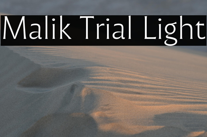 Malik Trial Light Example 3