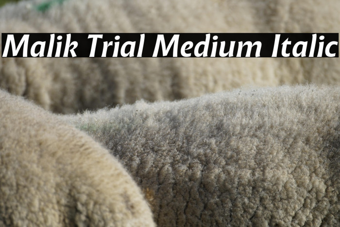 Malik Trial Medium Italic Example 2