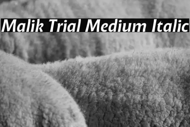 Malik Trial Medium Italic Font examples