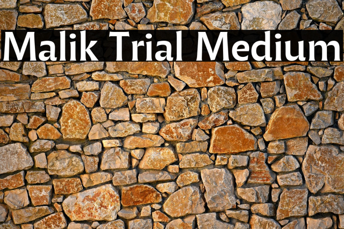 Malik Trial Medium Example 1