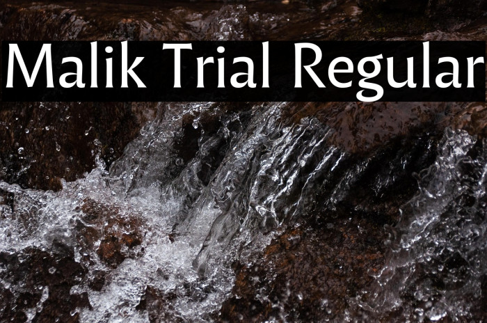 Malik Trial Regular Example 1