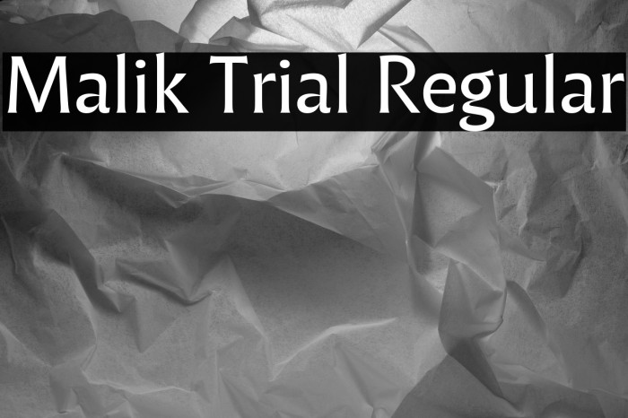 Malik Trial Regular Example 2