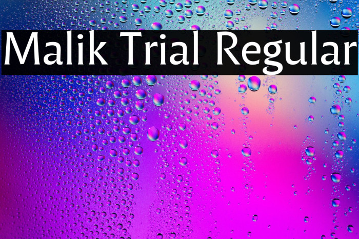 Malik Trial Regular Example 3